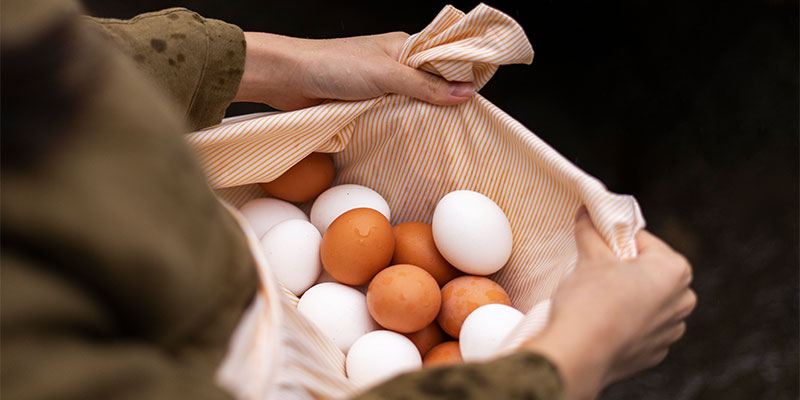 تخم مرغ محلی مادر