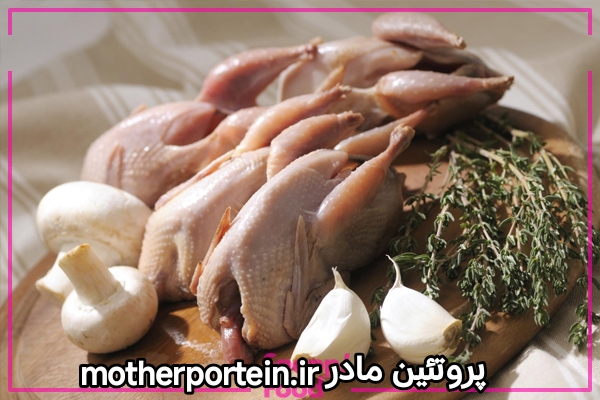 گوشت بلدرچین مادر