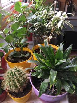 با اینا اردی بهشت رو سر میکنم