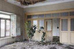 دلِ آدم میخواهد