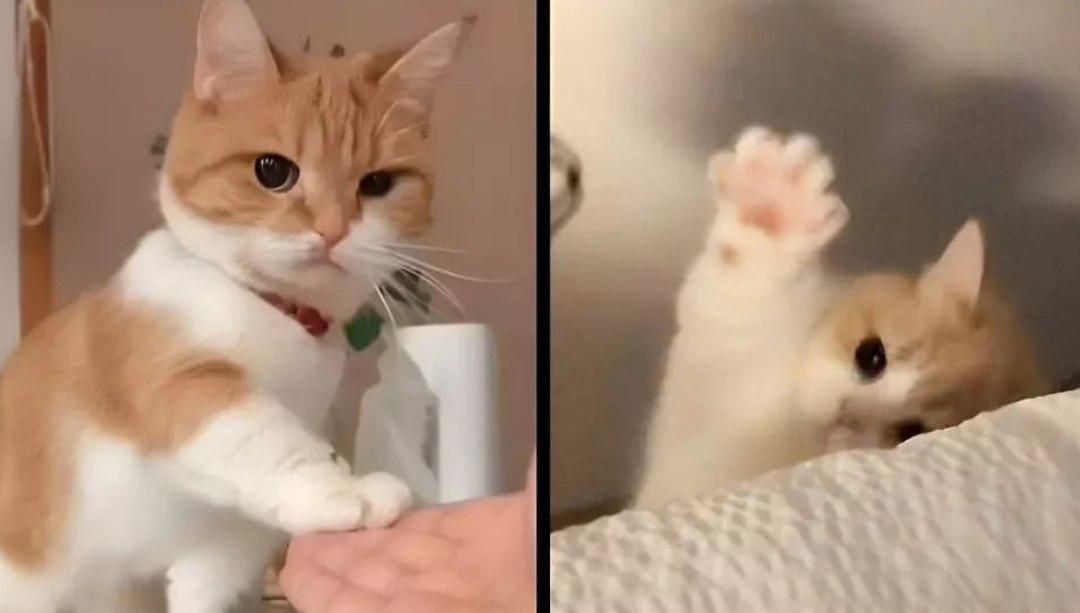 وقتی باهاش قهری اما میگه بوجی بوجی من کیهـ؟