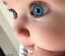 ترکیب مورد علاقه