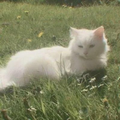 شما با چی یاد من میوفتید؟