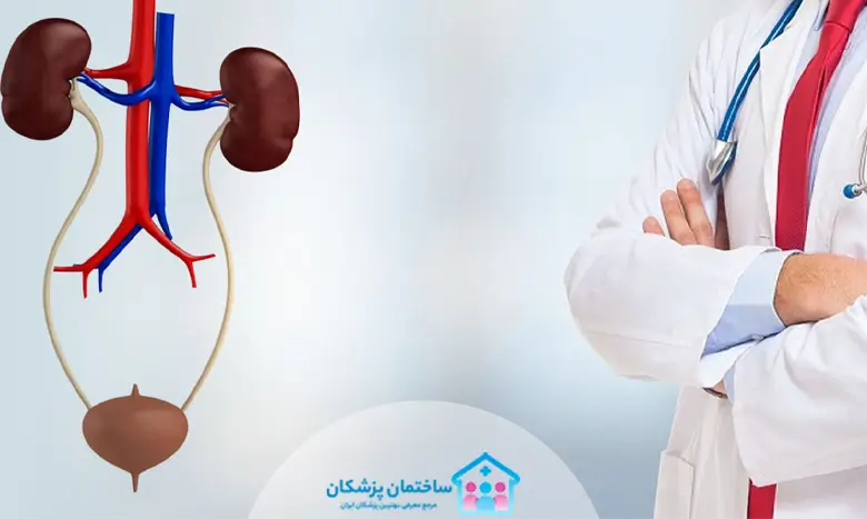 بهترین دکتر اورولوژی در تهران
