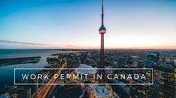 ویزای C11 کانادا به قلم رامین میرزادگان