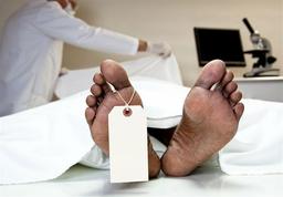 کالبدشکافی تمرین قصه‌گویی است