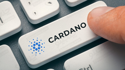شبکه کاردانو (Cardano) چیست و چگونه کار می کند؟