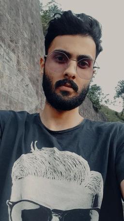 Amir moghaddam public figure