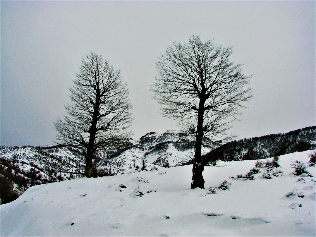 317. مدیریت عجیب