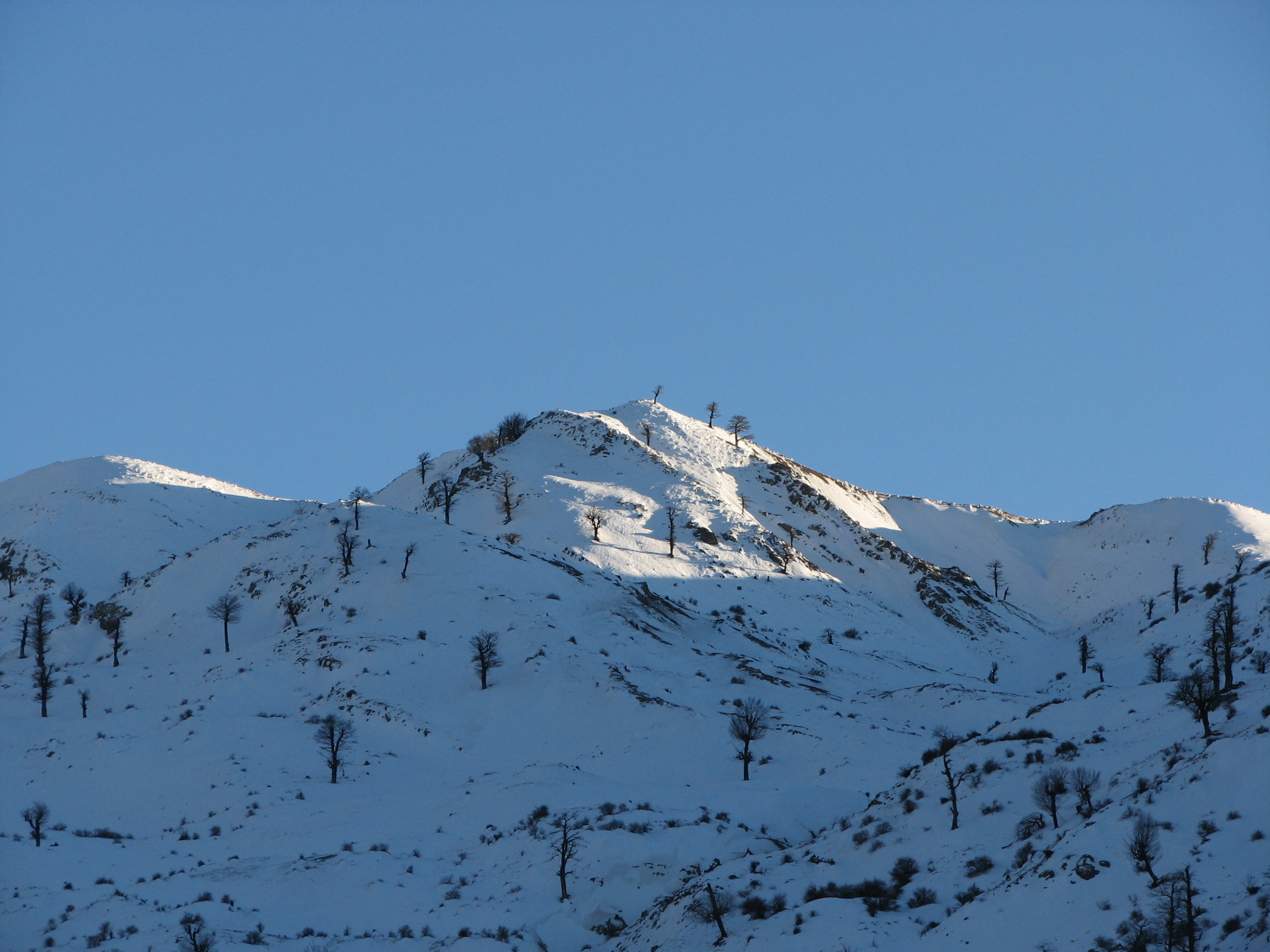 307. اتاق دبیران