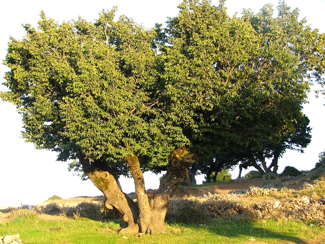 295. سرمایه گذاری