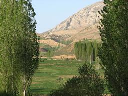 مدیر مدرسه پسرانه