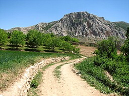 290. شاه اسماعیل