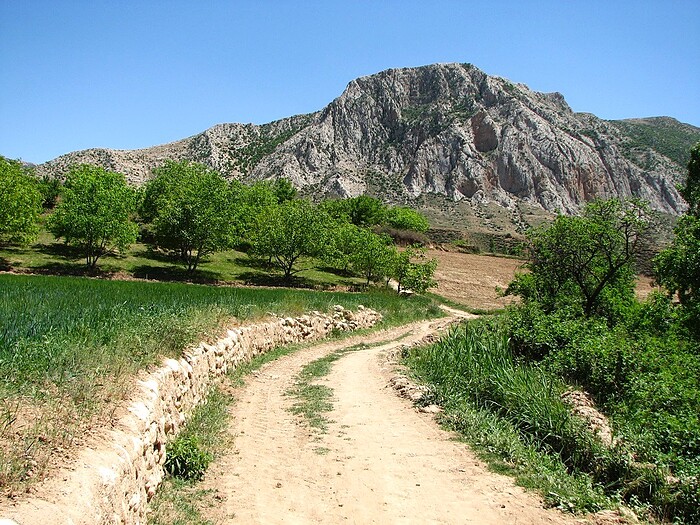 290. شاه اسماعیل