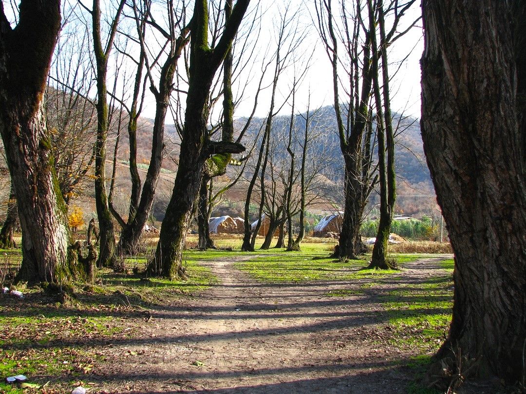 283. سازماندهی