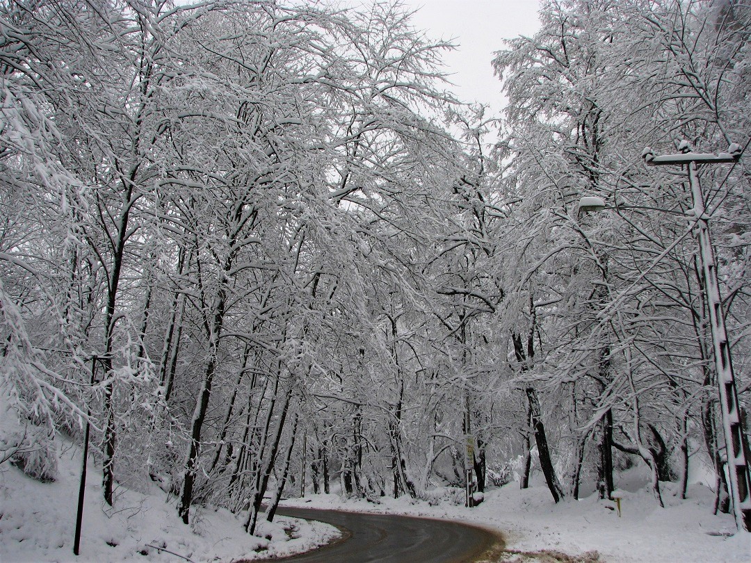 303.کلاس تقویتی