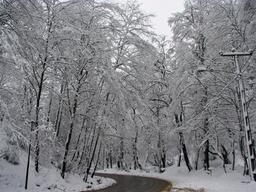 303.کلاس تقویتی