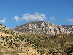 293. جشنواره
