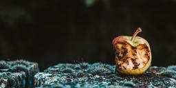 مروری بر کتاب بیشعوری