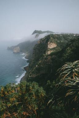 فرق "آرامش و آسایش" در چیست؟