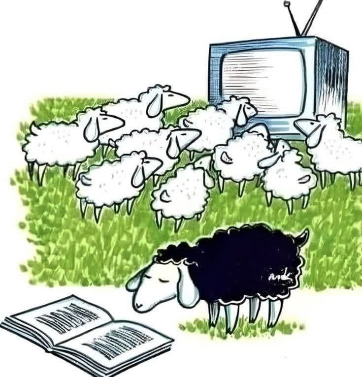 نکتش اینه که به‌هر‌حال همه‌مون گوسفندیم :) اینکه چقدر گوسفندیم مهمه!