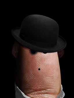 پنج بخشی‌ها