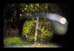 "شب چهاردهم” یا ”چقدر عوض شدی”