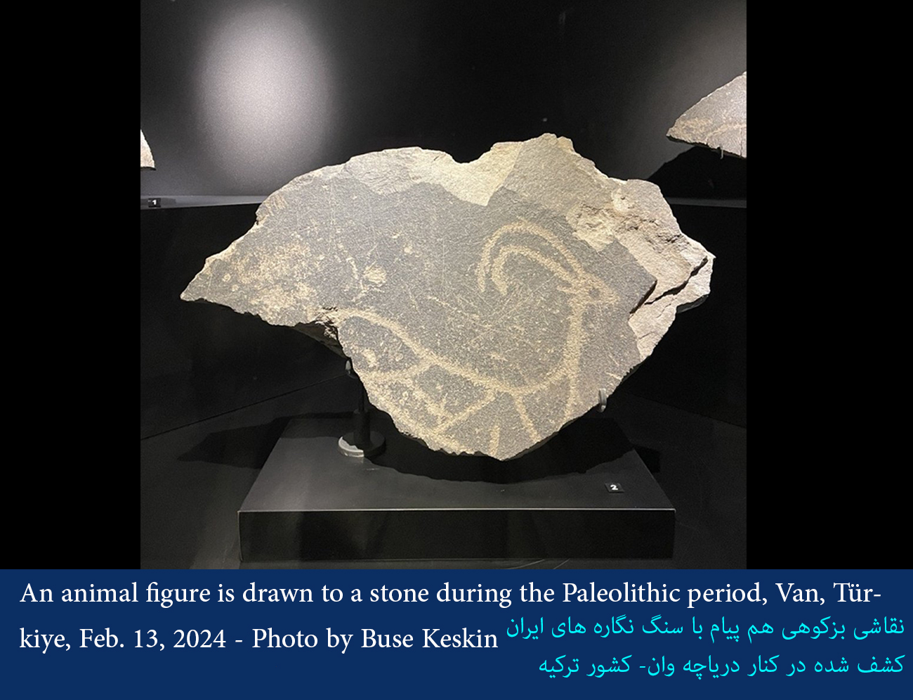 رد پای نقش بزکوهی، نماد ایرانیان باستان در سبک هنری اندیشه نگار و پیام های آبخواهی، زایندگی، برکت و محافظت در کنار آب در سایت سنگ نگاره های اطراف دریاچه وان در کشور ترکیه، که به یکی از موزه های ترکیه منتقل شده است.