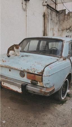 مربی بد اخلاق من