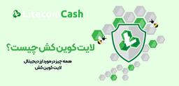 لایت کوین کش چیست؟