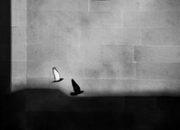 گالری عکاسی من (5) + مجموعه عکس دوم