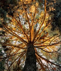 گالری عکاسی من (4)