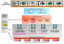 Explain about DataStage Information server