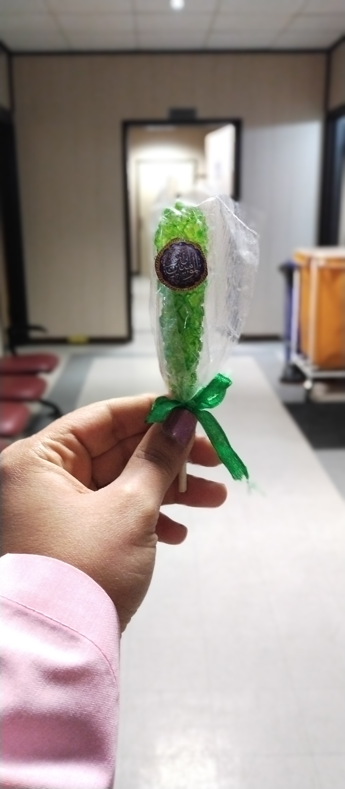 عکاس خودم هستم.