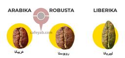 انواع دانه قهوه