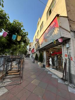 0 تا 100 خرید رگال با توجه به چند نکته مهم!