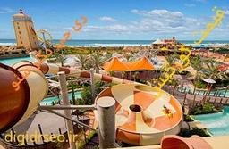 بهترین قیمت تور کیش از تهران