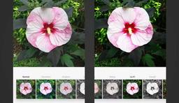 فیلتر های محبوب اینستاگرام