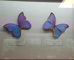 نگاه می تابانی و خواب زمان را برهم میزنی