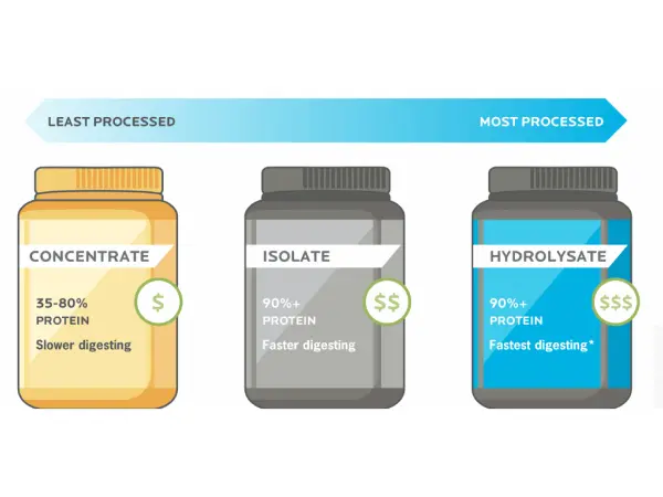 بهترین نوع پودر پروتئین وی برای پخت کوکی پروتئین وی