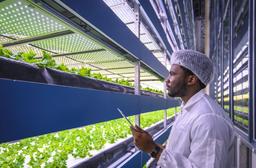 بهترین روش هایی برای هیدروپونیک موفق و کشاورزی در دایره محصول