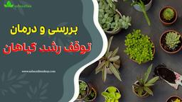 علت توقف رشد گل و گیاه ، درمان و رشد انفجاری گیاهان