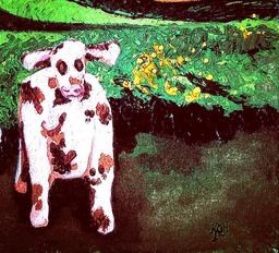 زندگی گاو است...