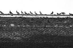 آموزش ۴ نکته عکاسی مینیمالیستی