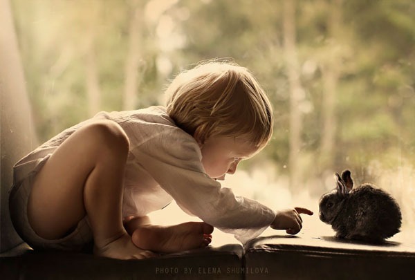 عکس از Elena Shumilova.