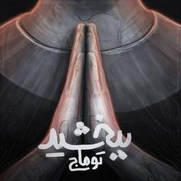 دانلود آهنگ ببخشید از توماج صالحی