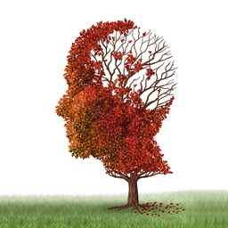 علائم و نشانه‌های مرحله پایانی زوال عقل