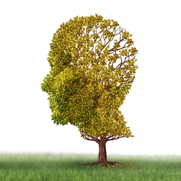 علائم و نشانه‌های مرحله میانی زوال عقل