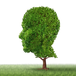 علائم و نشانه‌های مرحله اولیه زوال عقل