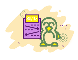 پیکربندی SSL/TLS برای Apache در Rocky 8